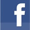 Facebook Poleras Estampadas